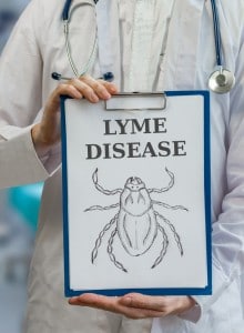 ziekte-van-lyme - ziekte van lyme